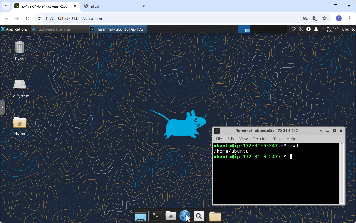 GUI or CLI environment accessible from web browser